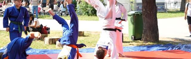 BOGAT VIKEND NA „BEOGRADSKIM DANIMA PORODICE": Od sportskih igara i dečjih predstava do arheologije i radionica