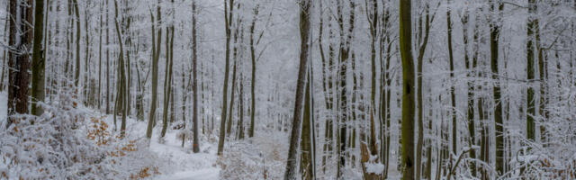 VIKEND HOROSKOP Ljubav i prijateljstvo se mogu lepo spojiti, uznemirenost i zbunjenost će vas dodatno demoralisati