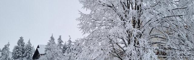 Vreme narednih dana: Do kada će padati sneg?