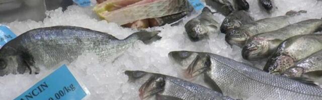 Najgora riba koju možete da pojedete dok postite: Mnogi misle da je zdrava, a prave grešku, puna je antibiotika!