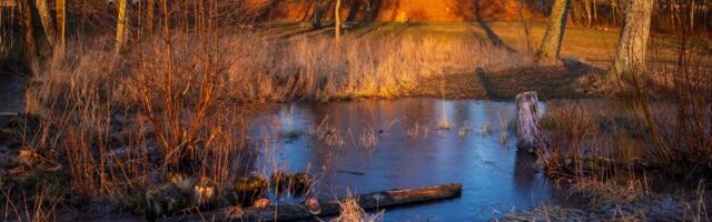 Laserski radar otkrio neverovatnu tajnu: Najveća praistorijska humka u Skandinaviji nije ono što se mislilo
