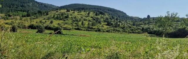 Srbija krije još jedan skriveni raj na Zemlji: Ovo selo na Staroj planini je lepše od Alpa