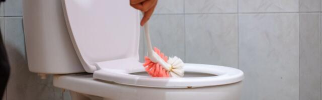 Polomite se od posla, a bakterije samo nastave da se šire po kupatilu: Ovako treba ribati WC šolju