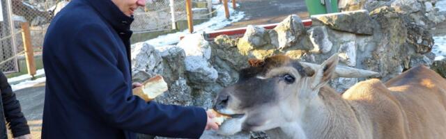 Radojičić: Beogradski Zoološki vrt u 2021. godini imao 380.000 posetilaca