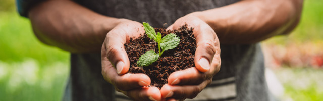 Zašto Srbija ne koristi potencijal industrijske konoplje?