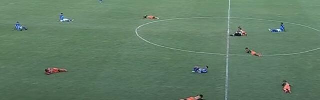 Nezapamćene scene u Kolumbiji: Pomahnitale ose u napadu! Igrači polegali na teren (VIDEO)