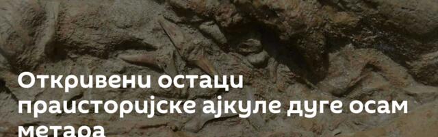Откривени остаци праисторијске ајкуле дуге осам метара