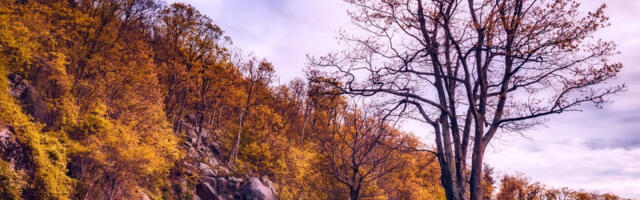 Samo još ponegde magla i mraz: RHMZ objavio prognozu za sedam dana, evo šta nas čeka od srede