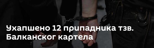 Ухапшено 12 припадника тзв. Балканског картела