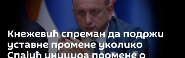 Кнежевић спреман да подржи уставне промене уколико Спајић иницира промене о српском језику