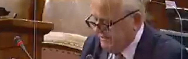 LIČNI STAV Nenad Kulačin: Skupštinsko balegarenje