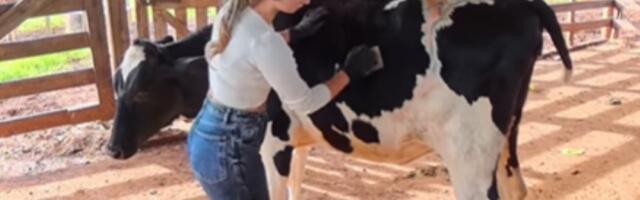 Napustila je posao sa platom od 2.660 evra i otišla na selo da čuva krave: "Govorili su mi da neću izdržati ni mesec dana" (VIDEO, FOTO)