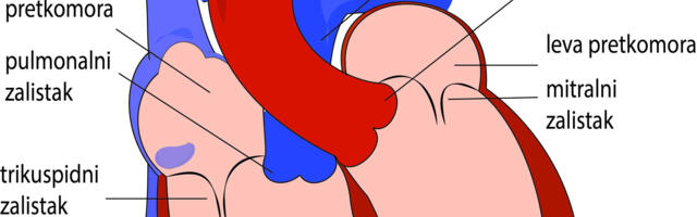 Predavanje dr Dejana Hristova o srcu u Vranju u sredu trećeg decembra