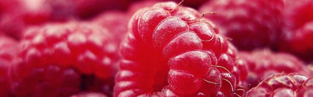 Glamočić najavio mere za zaštitu srpske maline i stabilnost tržišta