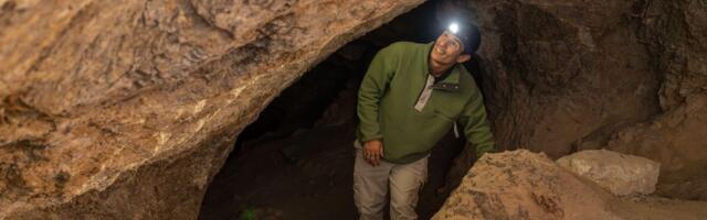 Ušli u DREVNU PEĆINU i otkrili "izgubljeni svet": Ispod pepela se krila NOVA VRSTA, naučnici zapanjeni!