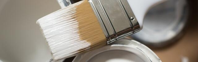 Svi pričaju o "color capping" trendu, a evo zašto vaš dom uz njega izgleda troduplo skuplje