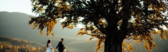 Pinterest otkrio najveće wedding trendove godine - i sve izgleda kao filmska scena