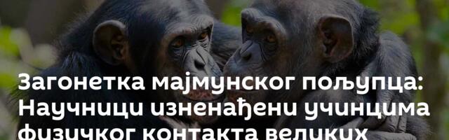 Загонетка мајмунског пољупца: Научници изненађени учинцима физичког контакта великих примата