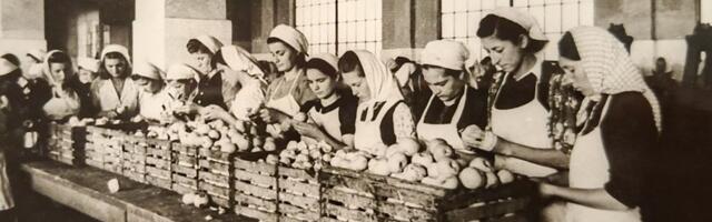 Uspon i pad jedne industrije: Izložba o kragujevačkoj porodici Stefanović i „Staroj zvezdi”