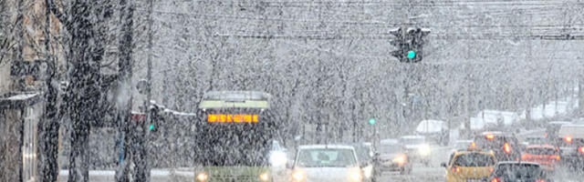 Тежак снег обара стабла и далеководе, део потрошача без струје