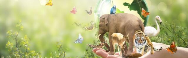 Postoje životinje koje menjaju pol: Rađaju se kao ženke, a umiru kao mužjaci - zanimljivije od filma (VIDEO)