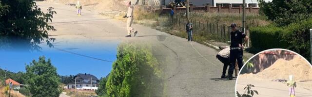 Saznajemo: Stigao novi nalaz rekonstrukcije nestanka Danke Ilić, evo šta piše u njemu (FOTO/VIDEO)