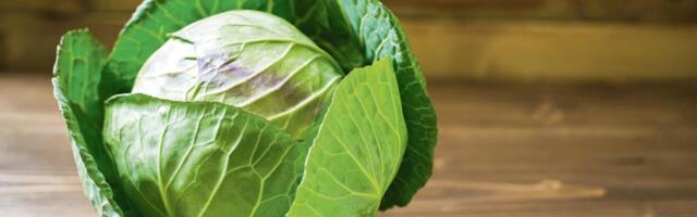 Kako pravilno oprati mladi kupus: Evo gde uvek ostane prljavština, tu nikad ni pogledate