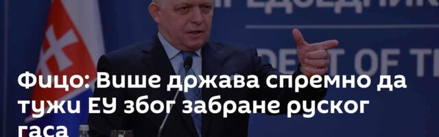Фицо: Више држава спремно да тужи ЕУ због забране руског гаса