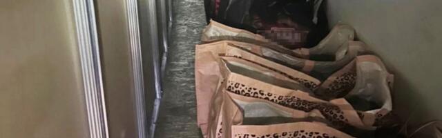 Palo skoro 700 KILOGRAMA KOKAINA! Srpski UKP i Nemci raskrinkali moćan klan: Sve je počelo OVAKO