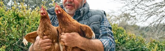 Seljak sumnjao da mu živinu kradu komšije, na kraju ih našao 85 metara pod zemljom: Đavolja posla u podrumu