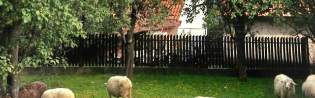 Nova podrška poljoprivrednicima: Kol-centar daje odgovore, uputstva i ubrzava isplate