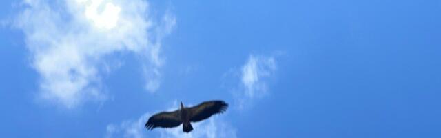 Grade se tri nova vidikovca na meandrima Uvca