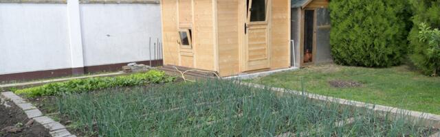 Naša pevačica ima BRDO PARA i vilu, a u dvorištu ima kokošinjac: "Ujutru ustajem i idem da skupim jaja"