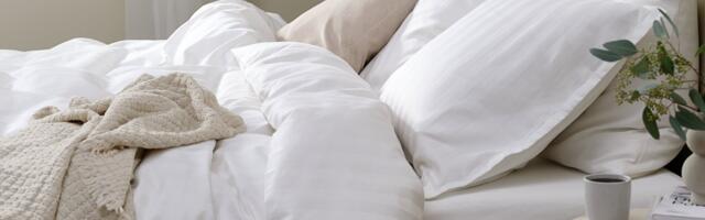 Cloud Dancer – nežna nijansa u fokusu trendova 2026.