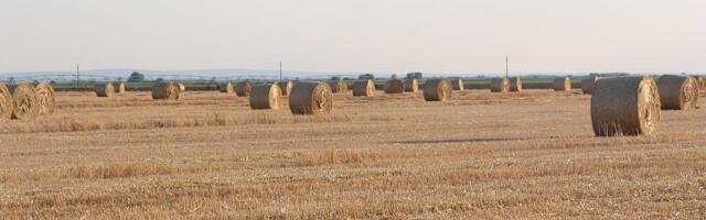 Objavljen kalendar podsticaja za poljoprivrednike u 2026. godini