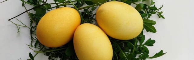 Prirodne boje: Kako da dobijete intenzivno žuta jaja?