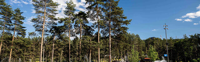 Zlatibor ove godine ispred svih u domaćem turizmu
