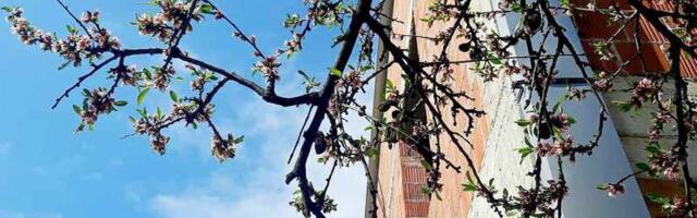 Učili smo da proleće počinje 21. marta, a ne 20.