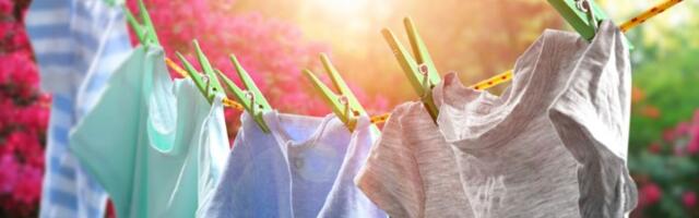 Zamolila muža da raširi veš, pa uslikala njegovo delo: Ljudi kipte od besa (FOTO)