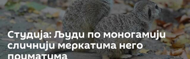 Студија: Људи по моногамији сличнији меркатима него приматима