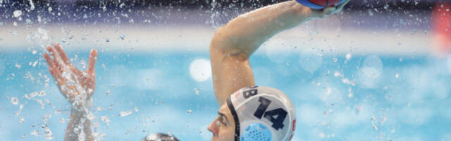 Егзибиција Новог Београда у Требињу