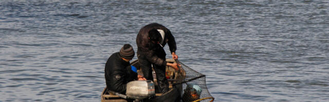 Рибари пронађени умотани у рибарску мрежу