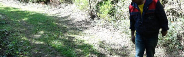 Ovo je isplativ posao u Srbiji za koji mnogi ne znaju, pa propuštaju masne pare: Velika zarada uz samo 1 caku!