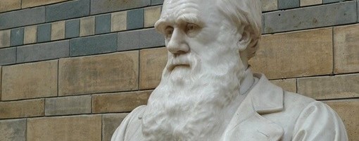 Darvinove beležnice nestale iz Kembridžove biblioteke
