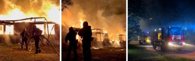 Borba sa vatrenom stihijom: Veliki požar u Novom Sadu, plamen progutao 300 kvadratnih metara (FOTO/VIDEO)