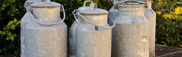 MLEKARI UPOZORAVAJU: Ako država ne spreči uvoz jeftinog mleka, đubrivom ćemo zasuti trgovce