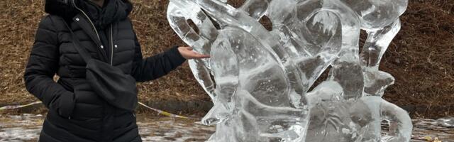 Vajarstvo i ledu daje dušu