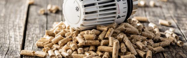 Drama sa peletom, stručnjak objašnjava kako smo se našli u ovoj situaciji: "Prethodne 3 zime bile blage..."