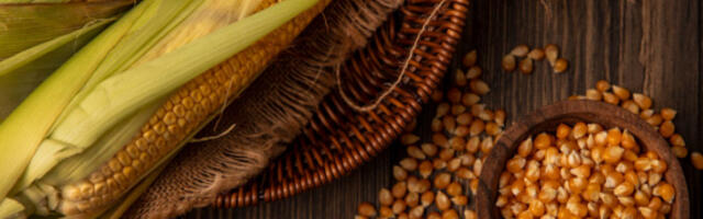 Светске цене хране достигле највиши ниво за четири месеца