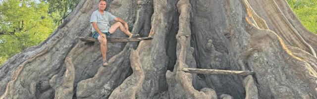 Gambija: Još jedan most između Srbije i Afrike